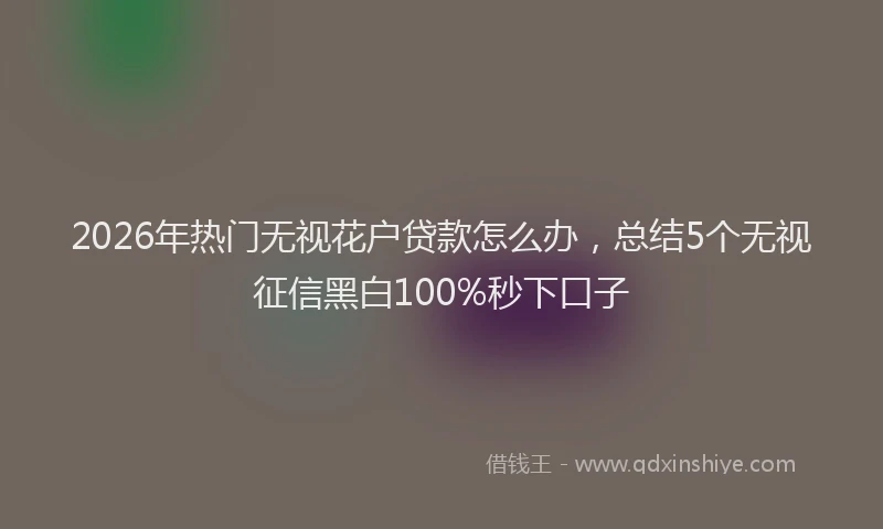 2026年热门无视花户贷款怎么办，总结5个无视征信黑白100%秒下口子