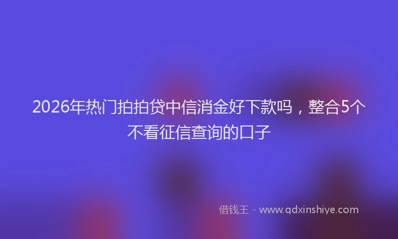 2026年热门拍拍贷中信消金好下款吗，整合5个不看征信查询的口子