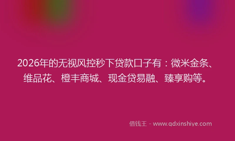 2026年的无视风控秒下贷款口子有：微米金条、维品花、橙丰商城、现金贷易融、臻享购等。
