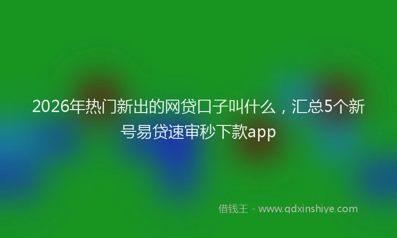2026年热门新出的网贷口子叫什么，汇总5个新号易贷速审秒下款app