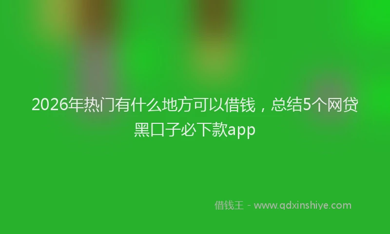 2026年热门有什么地方可以借钱,总结5个网贷黑口子必下款app