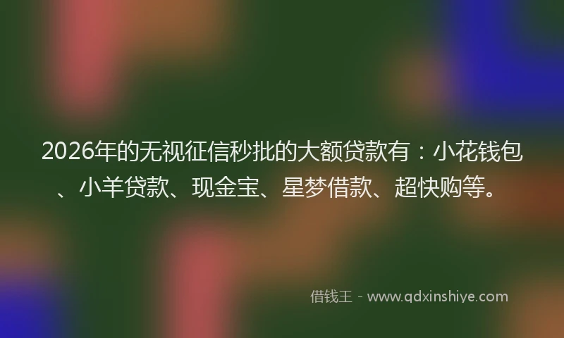 2026年的无视征信秒批的大额贷款有：小花钱包、小羊贷款、现金宝、星梦借款、超快购等。