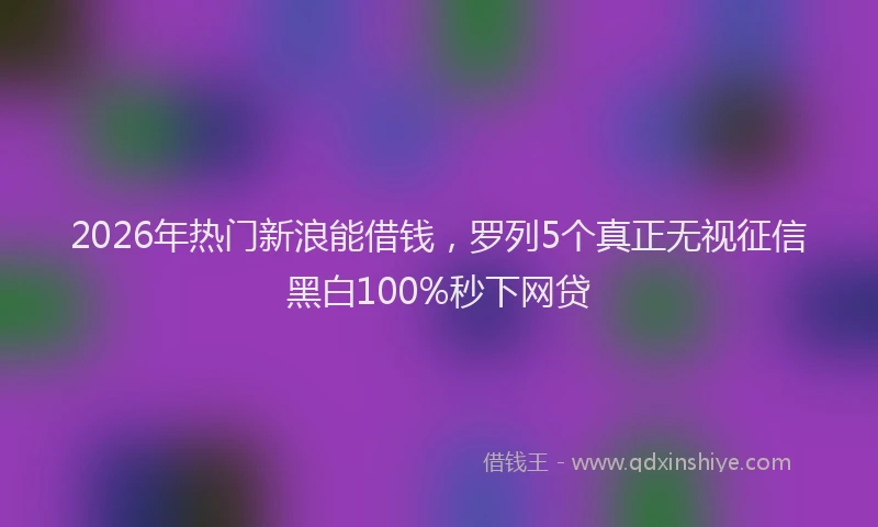 2026年热门新浪能借钱，罗列5个真正无视征信黑白100%秒下网贷