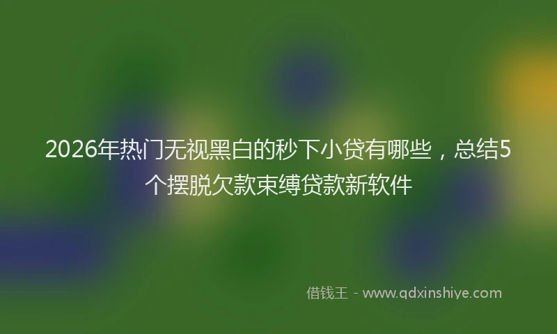2026年热门无视黑白的秒下小贷有哪些，总结5个摆脱欠款束缚贷款新软件