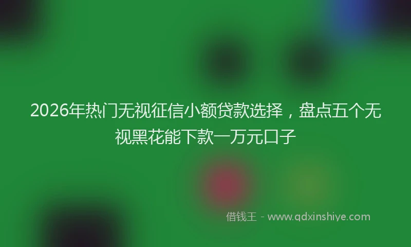 2026年热门无视征信小额贷款选择，盘点五个无视黑花能下款一万元口子