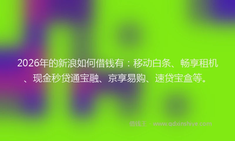 2026年的新浪如何借钱有:移动白条、畅享租机、现金秒贷通宝融、京享易购、速贷宝盒等。