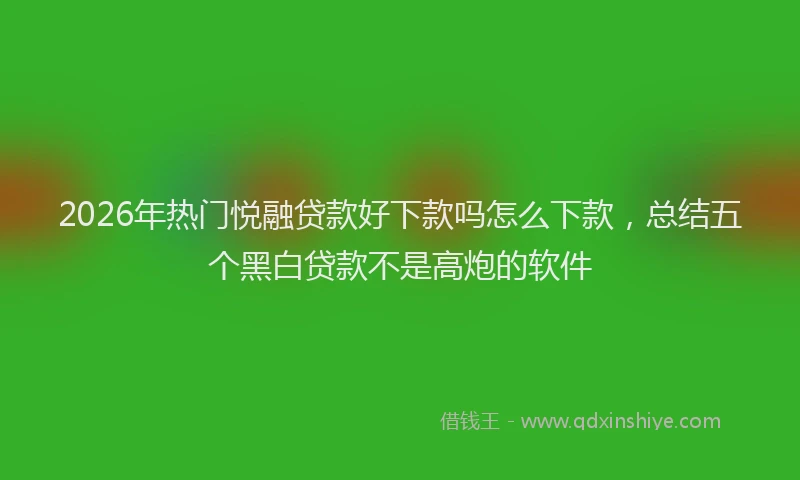 2026年热门悦融贷款好下款吗怎么下款,总结五个黑白贷款不是高炮的软件