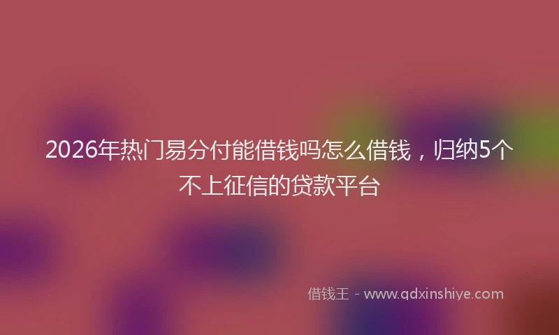 2026年热门易分付能借钱吗怎么借钱，归纳5个不上征信的贷款平台