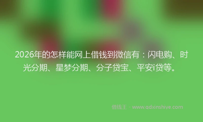 2026年的怎样能网上借钱到微信有：闪电购、时光分期、星梦分期、分子贷宝、平安i贷等。