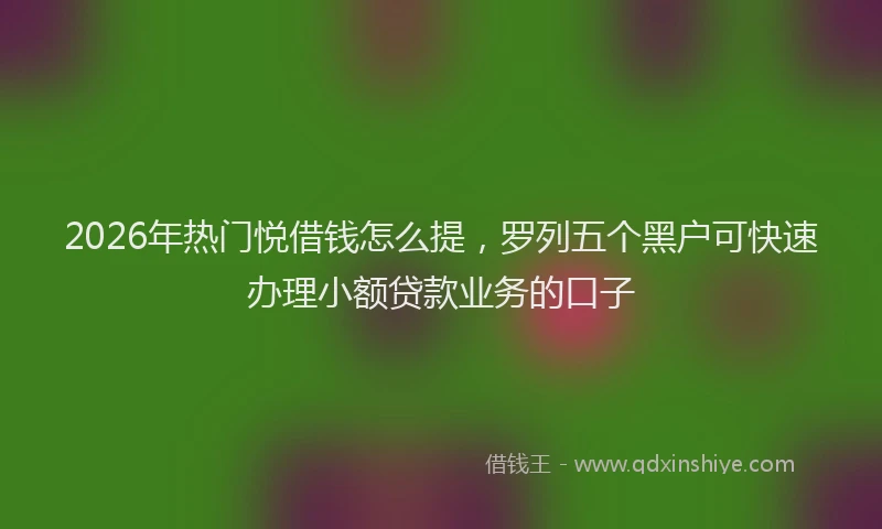 2026年热门悦借钱怎么提，罗列五个黑户可快速办理小额贷款业务的口子