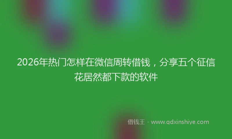 2026年热门怎样在微信周转借钱，分享五个征信花居然都下款的软件