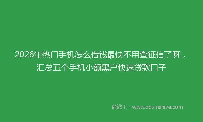 2026年热门手机怎么借钱最快不用查征信了呀，汇总五个手机小额黑户快速贷款口子