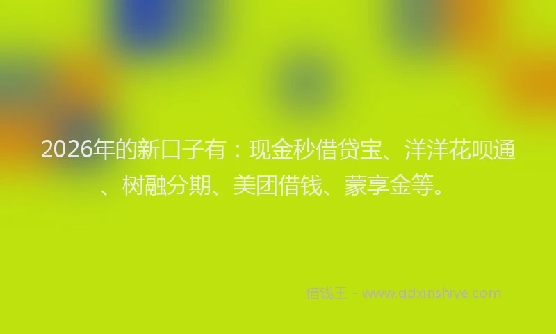2026年的新口子有：现金秒借贷宝、洋洋花呗通、树融分期、美团借钱、蒙享金等。
