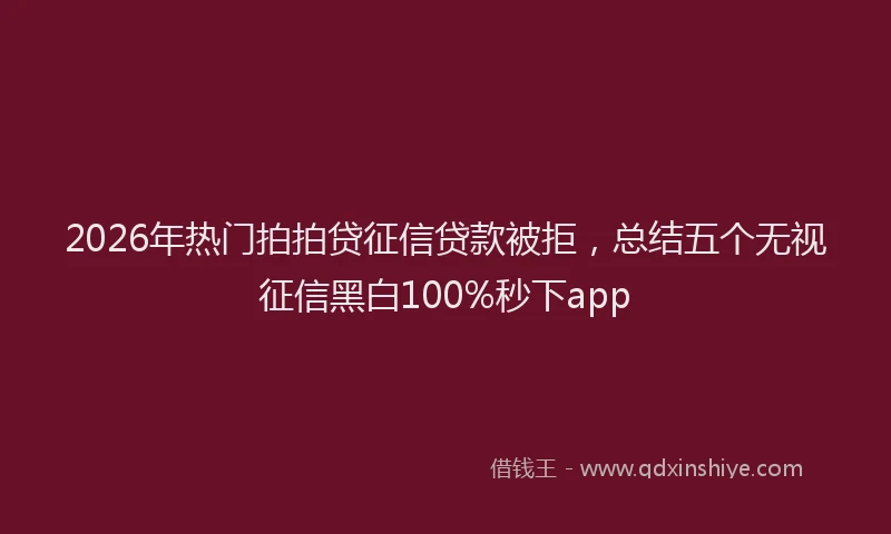 2026年热门拍拍贷征信贷款被拒，总结五个无视征信黑白100%秒下app