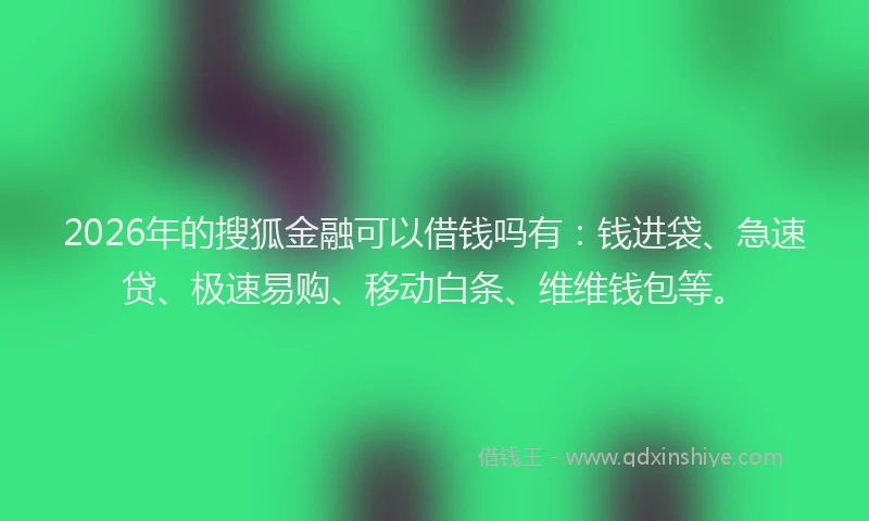 2026年的搜狐金融可以借钱吗有：钱进袋、急速贷、极速易购、移动白条、维维钱包等。