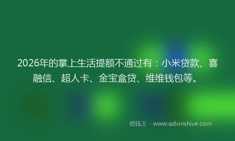2026年的掌上生活提额不通过有:小米贷款、喜融信、超人卡、金宝盒贷、维维钱包等。