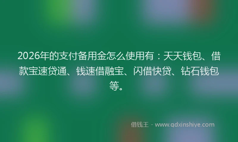 2026年的支付备用金怎么使用有：天天钱包、借款宝速贷通、钱速借融宝、闪借快贷、钻石钱包等。