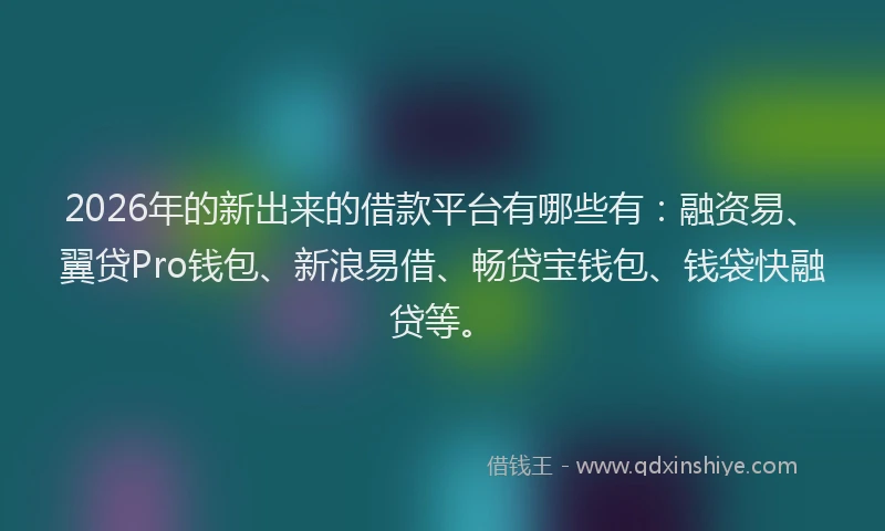 2026年的新出来的借款平台有哪些有：融资易、翼贷Pro钱包、新浪易借、畅贷宝钱包、钱袋快融贷等。