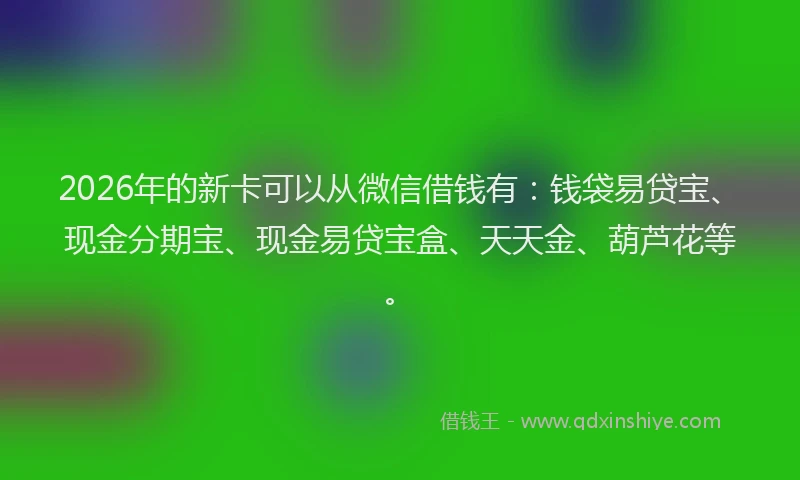 2026年的新卡可以从微信借钱有:钱袋易贷宝、现金分期宝、现金易贷宝盒、天天金、葫芦花等。