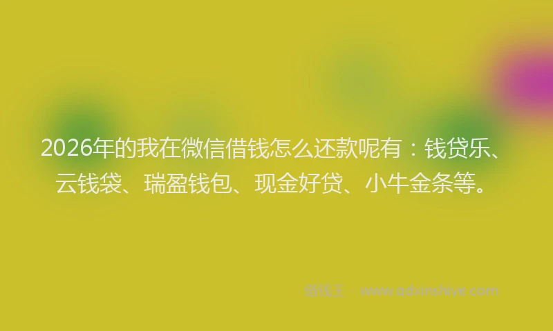 2026年的我在微信借钱怎么还款呢有：钱贷乐、云钱袋、瑞盈钱包、现金好贷、小牛金条等。