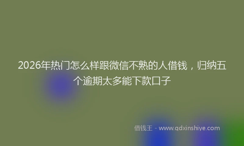 2026年热门怎么样跟微信不熟的人借钱，归纳五个逾期太多能下款口子