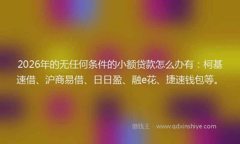 2026年的无任何条件的小额贷款怎么办有：柯基速借、沪商易借、日日盈、融e花、捷速钱包等。