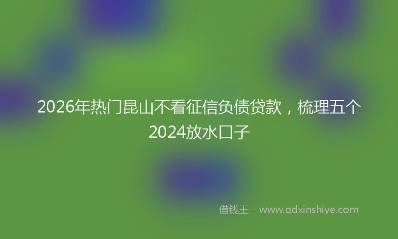 2026年热门昆山不看征信负债贷款，梳理五个2024放水口子