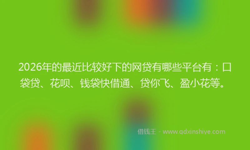 2026年的最近比较好下的网贷有哪些平台有：口袋贷、花呗、钱袋快借通、贷你飞、盈小花等。