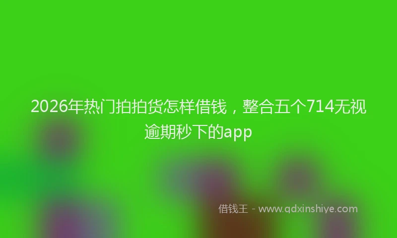 2026年热门拍拍货怎样借钱,整合五个714无视逾期秒下的app