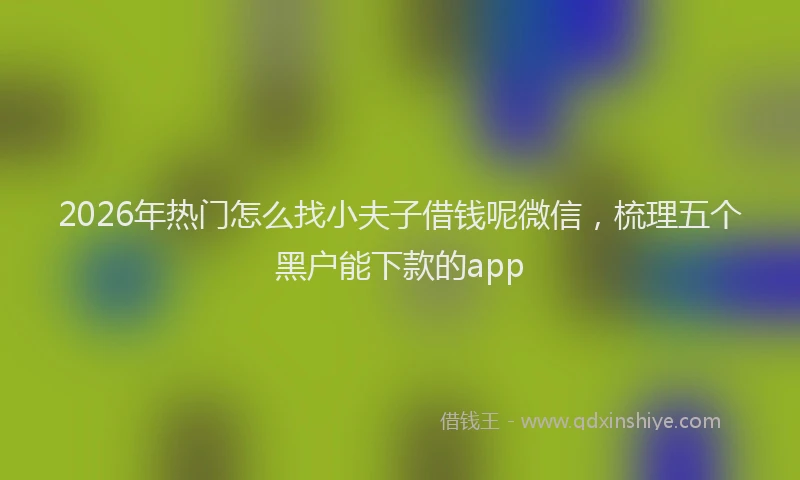 2026年热门怎么找小夫子借钱呢微信，梳理五个黑户能下款的app