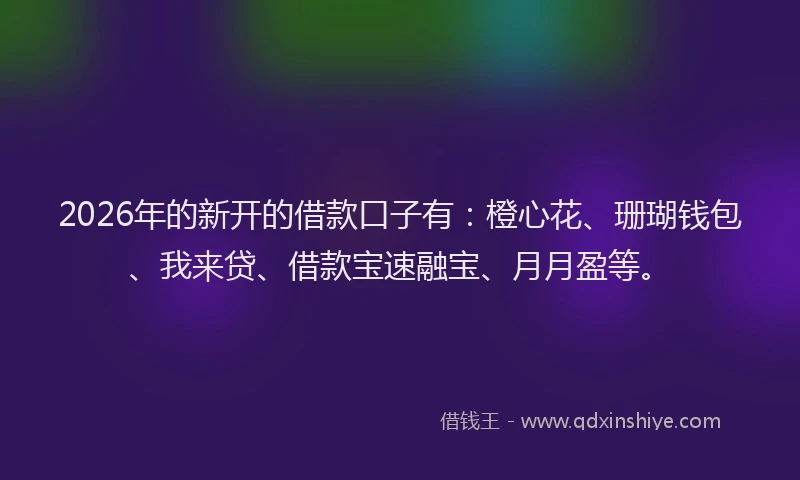 2026年的新开的借款口子有：橙心花、珊瑚钱包、我来贷、借款宝速融宝、月月盈等。