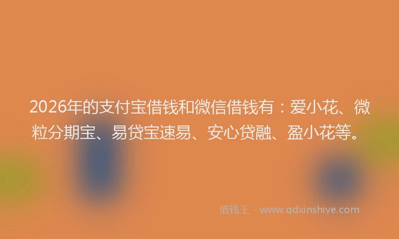 2026年的支付宝借钱和微信借钱有：爱小花、微粒分期宝、易贷宝速易、安心贷融、盈小花等。