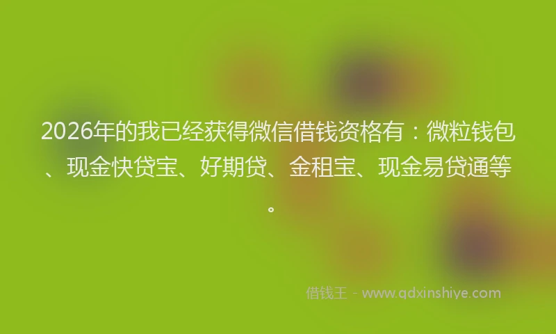 2026年的我已经获得微信借钱资格有：微粒钱包、现金快贷宝、好期贷、金租宝、现金易贷通等。