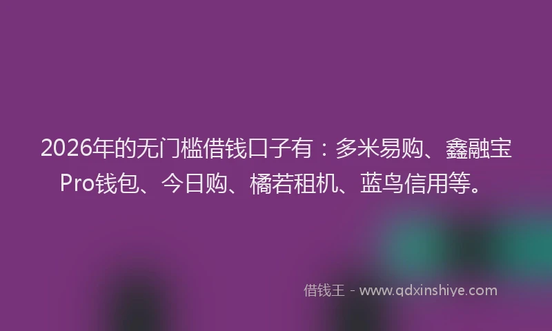 2026年的无门槛借钱口子有：多米易购、鑫融宝Pro钱包、今日购、橘若租机、蓝鸟信用等。