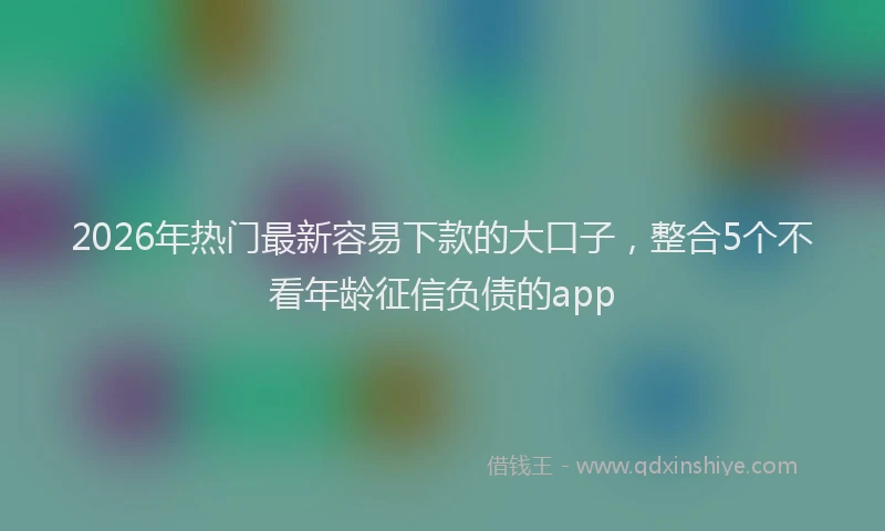 2026年热门最新容易下款的大口子，整合5个不看年龄征信负债的app