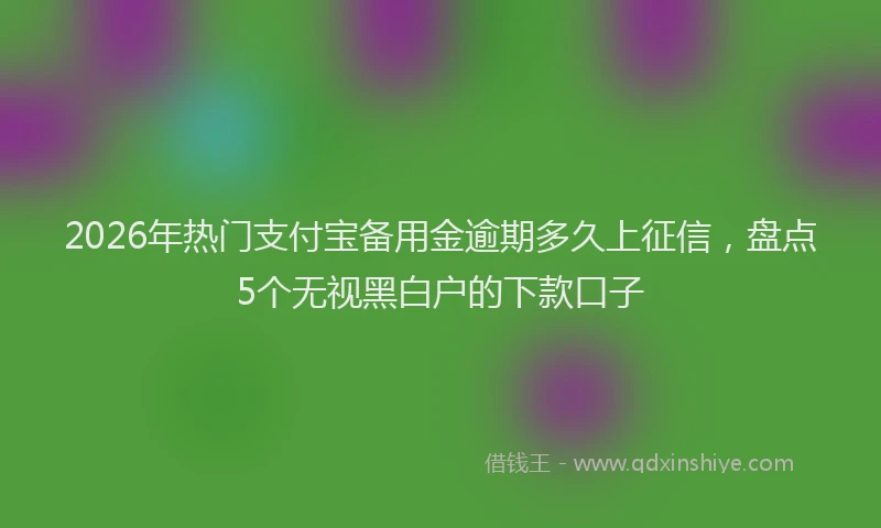 2026年热门支付宝备用金逾期多久上征信，盘点5个无视黑白户的下款口子