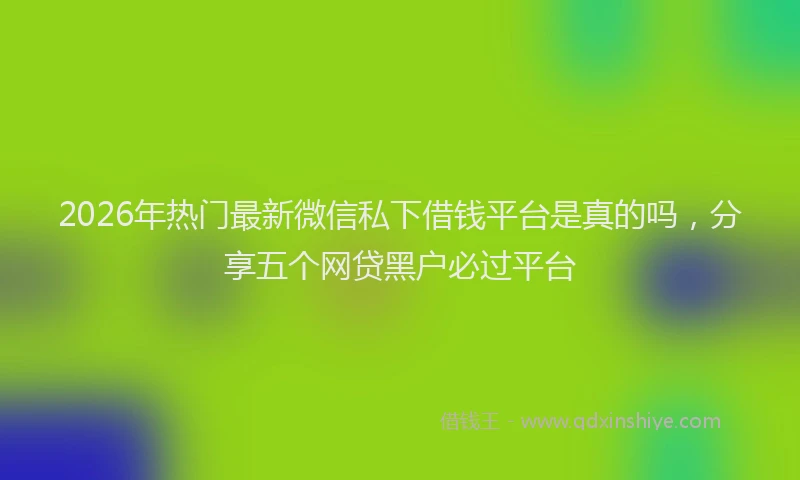 2026年热门最新微信私下借钱平台是真的吗，分享五个网贷黑户必过平台