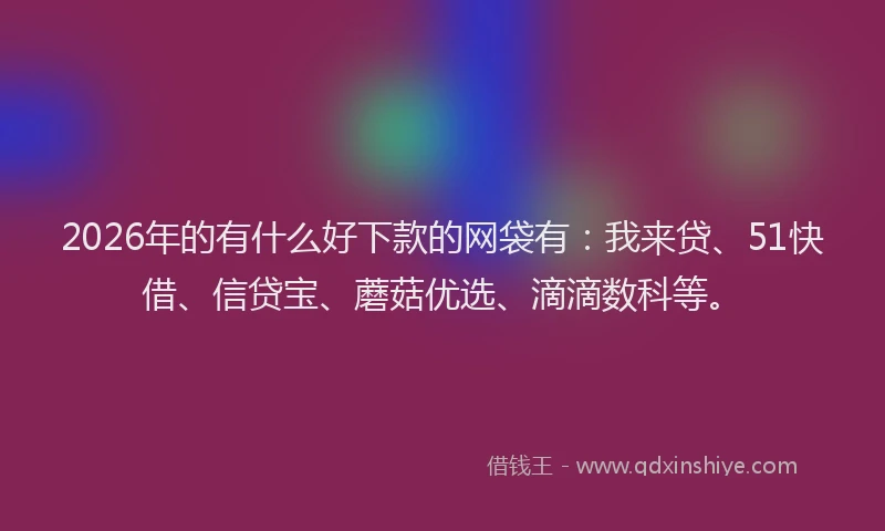 2026年的有什么好下款的网袋有：我来贷、51快借、信贷宝、蘑菇优选、滴滴数科等。