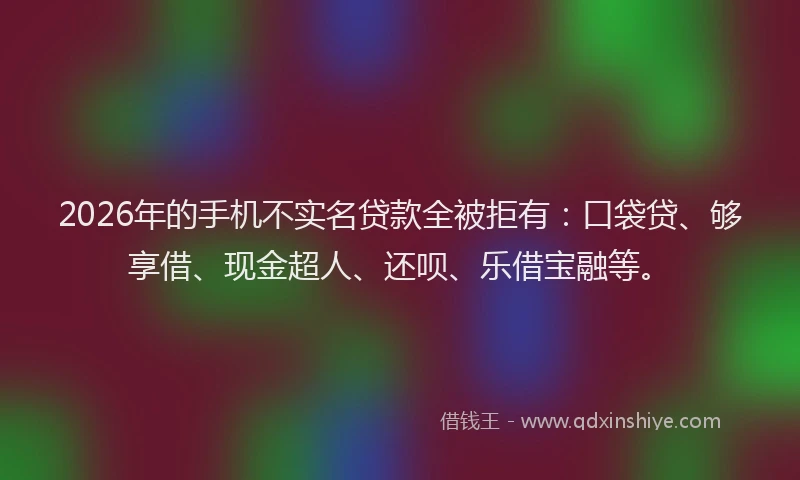 2026年的手机不实名贷款全被拒有：口袋贷、够享借、现金超人、还呗、乐借宝融等。
