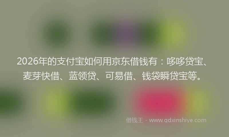 2026年的支付宝如何用京东借钱有：哆哆贷宝、麦芽快借、蓝领贷、可易借、钱袋瞬贷宝等。