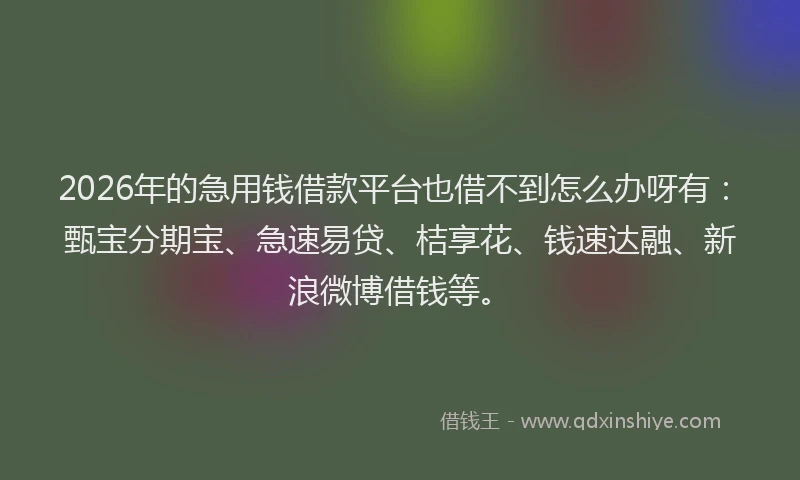 2026年的急用钱借款平台也借不到怎么办呀有：甄宝分期宝、急速易贷、桔享花、钱速达融、新浪微博借钱等。