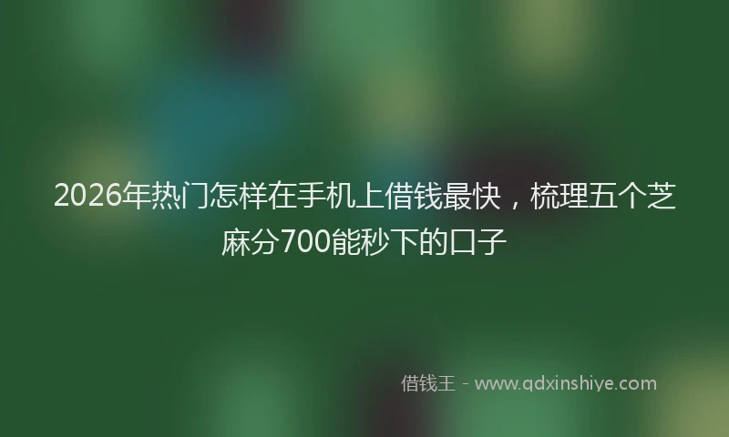 2026年热门怎样在手机上借钱最快，梳理五个芝麻分700能秒下的口子
