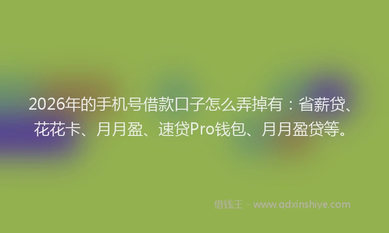 2026年的手机号借款口子怎么弄掉有：省薪贷、花花卡、月月盈、速贷Pro钱包、月月盈贷等。