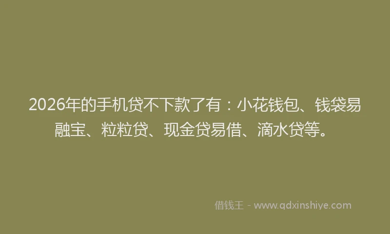 2026年的手机贷不下款了有：小花钱包、钱袋易融宝、粒粒贷、现金贷易借、滴水贷等。