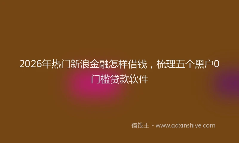 2026年热门新浪金融怎样借钱，梳理五个黑户0门槛贷款软件