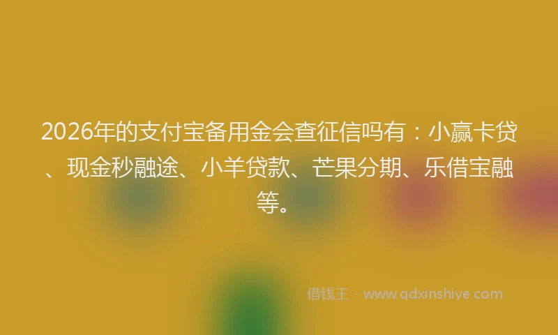 2026年的支付宝备用金会查征信吗有：小赢卡贷、现金秒融途、小羊贷款、芒果分期、乐借宝融等。