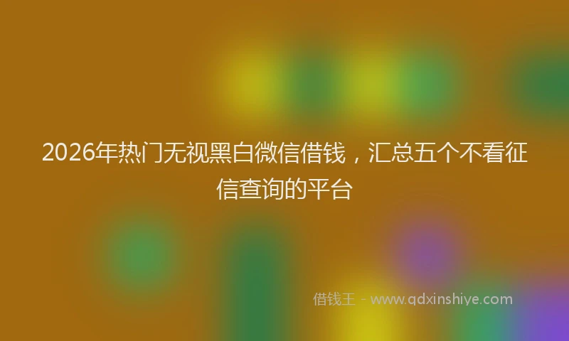 2026年热门无视黑白微信借钱，汇总五个不看征信查询的平台