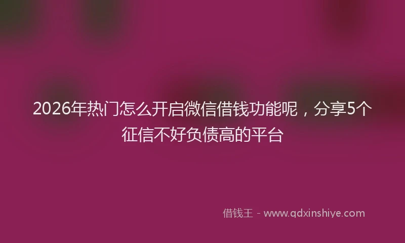2026年热门怎么开启微信借钱功能呢，分享5个征信不好负债高的平台