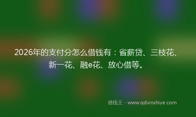 2026年的支付分怎么借钱有：省薪贷、三枝花、新一花、融e花、放心借等。