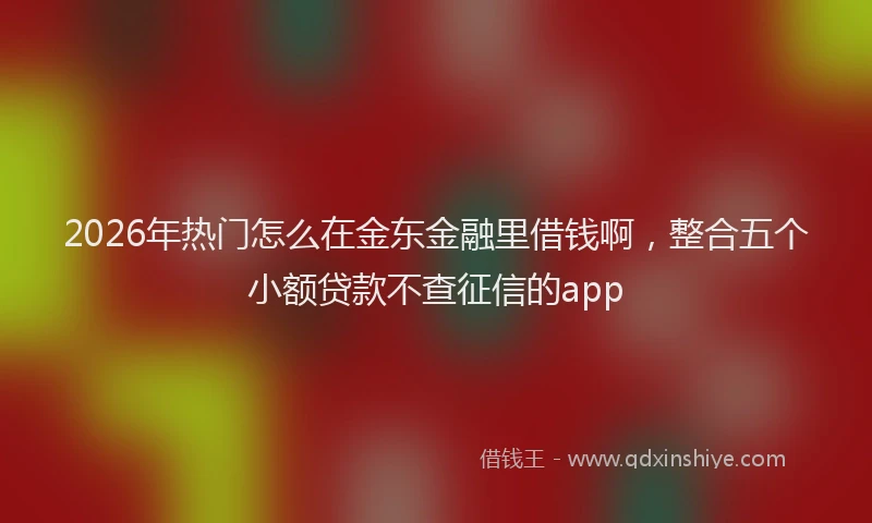 2026年热门怎么在金东金融里借钱啊，整合五个小额贷款不查征信的app
